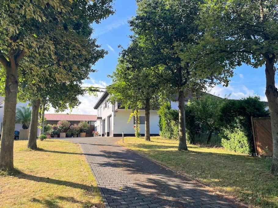 Apartment 100 Qm Im Weindorf - Balkon/Garage Aspisheim ภายนอก รูปภาพ
