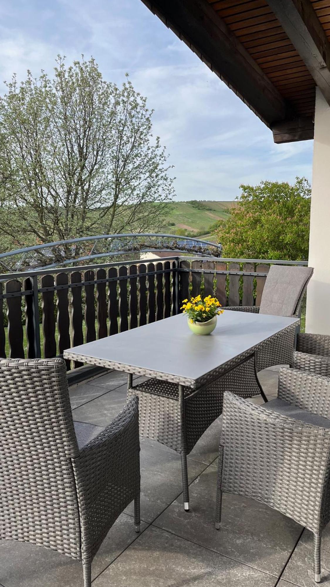 Apartment 100 Qm Im Weindorf - Balkon/Garage Aspisheim ภายนอก รูปภาพ